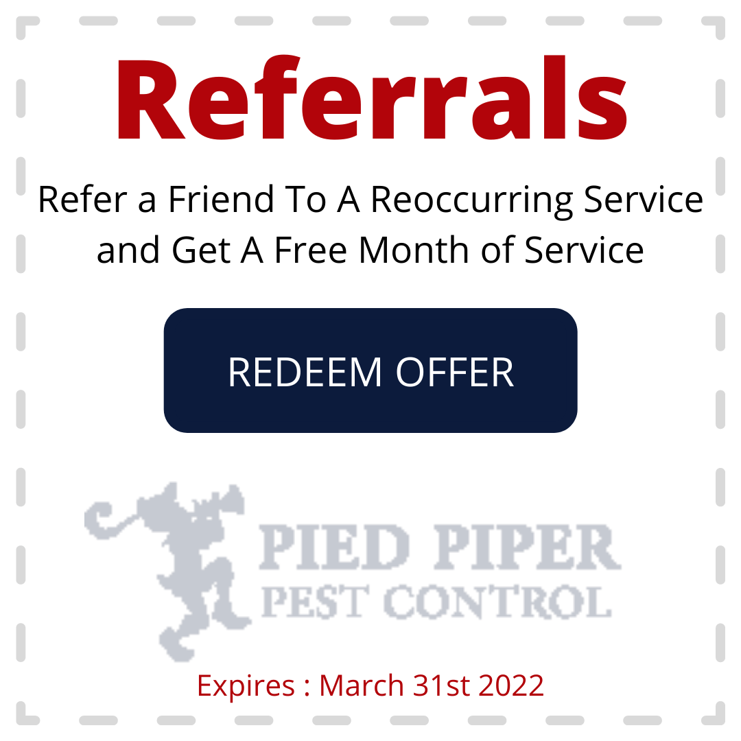 Referral promotion: Refer a friend for recurring service and get a free month. Dark blue 
