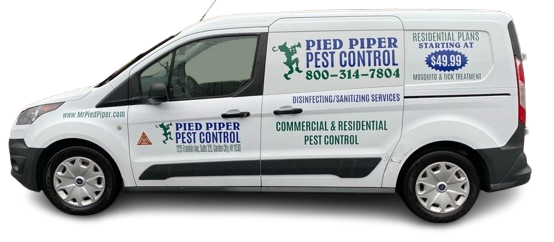 White Pied Piper Pest Control van with company logo and contact info.