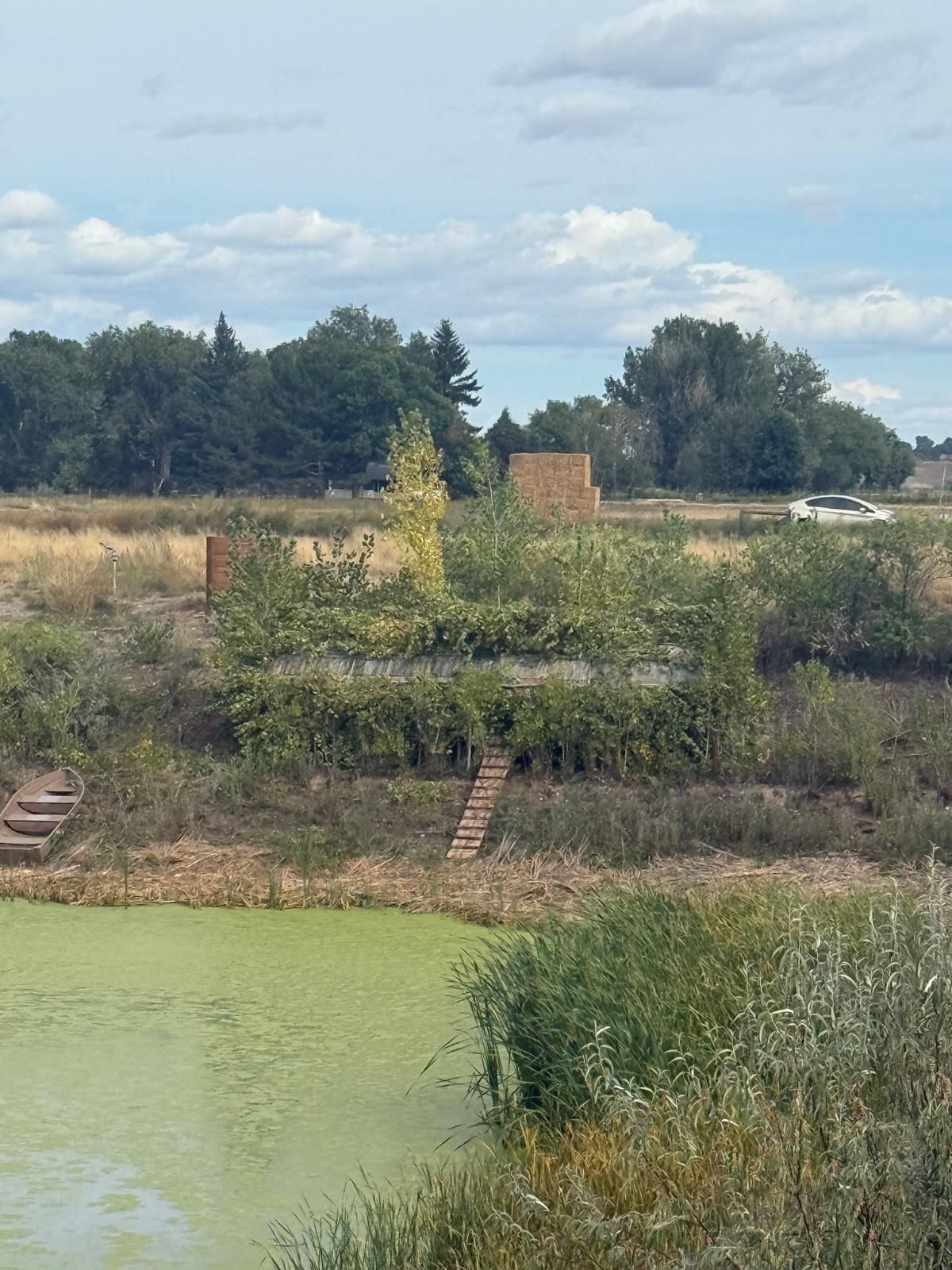 waterfowl hunting outfitter CO