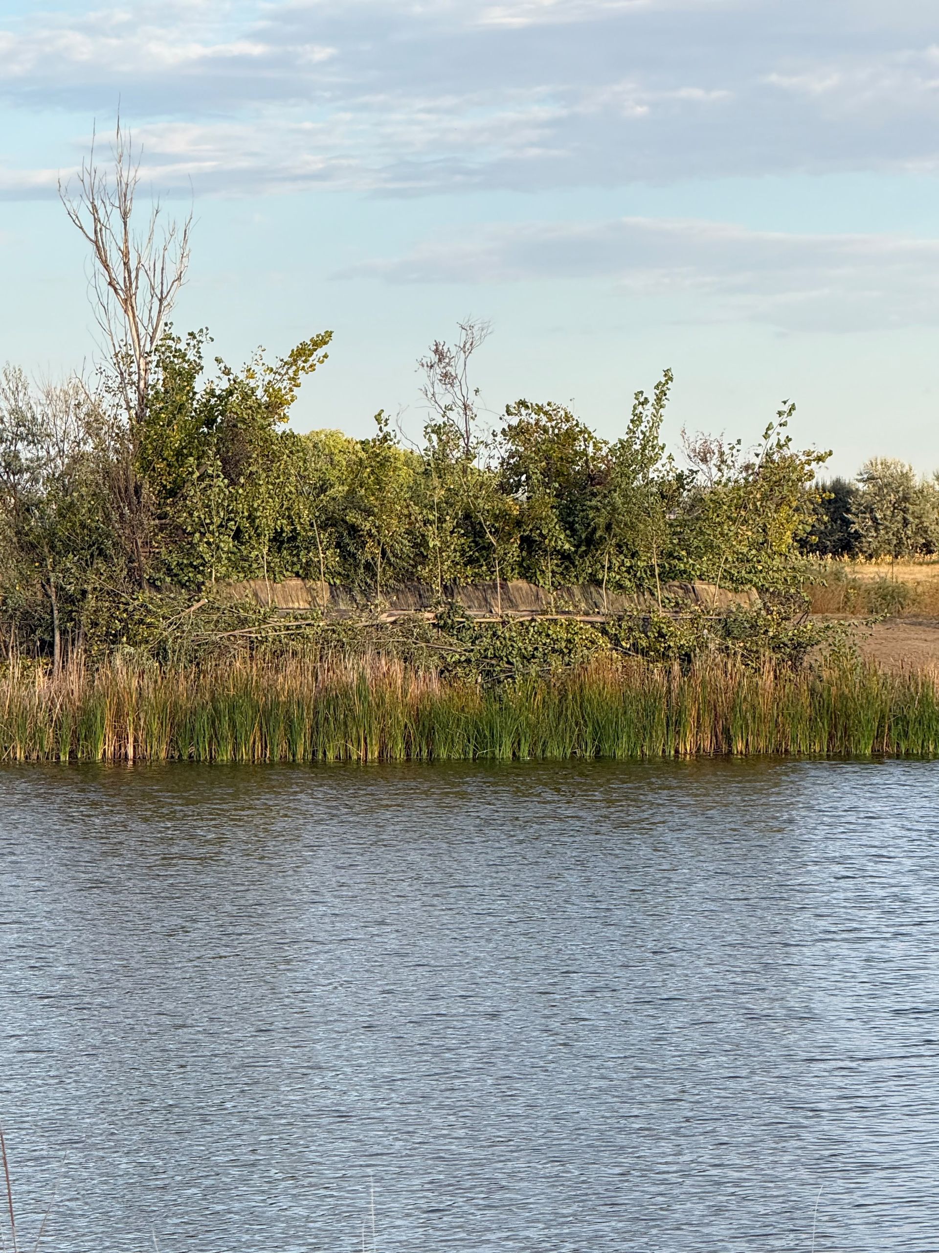 duck and goose hunting guide in Colorado