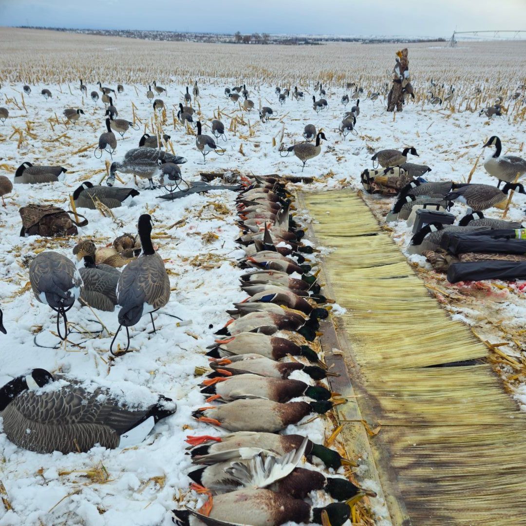 duck and goose hunting custom pits