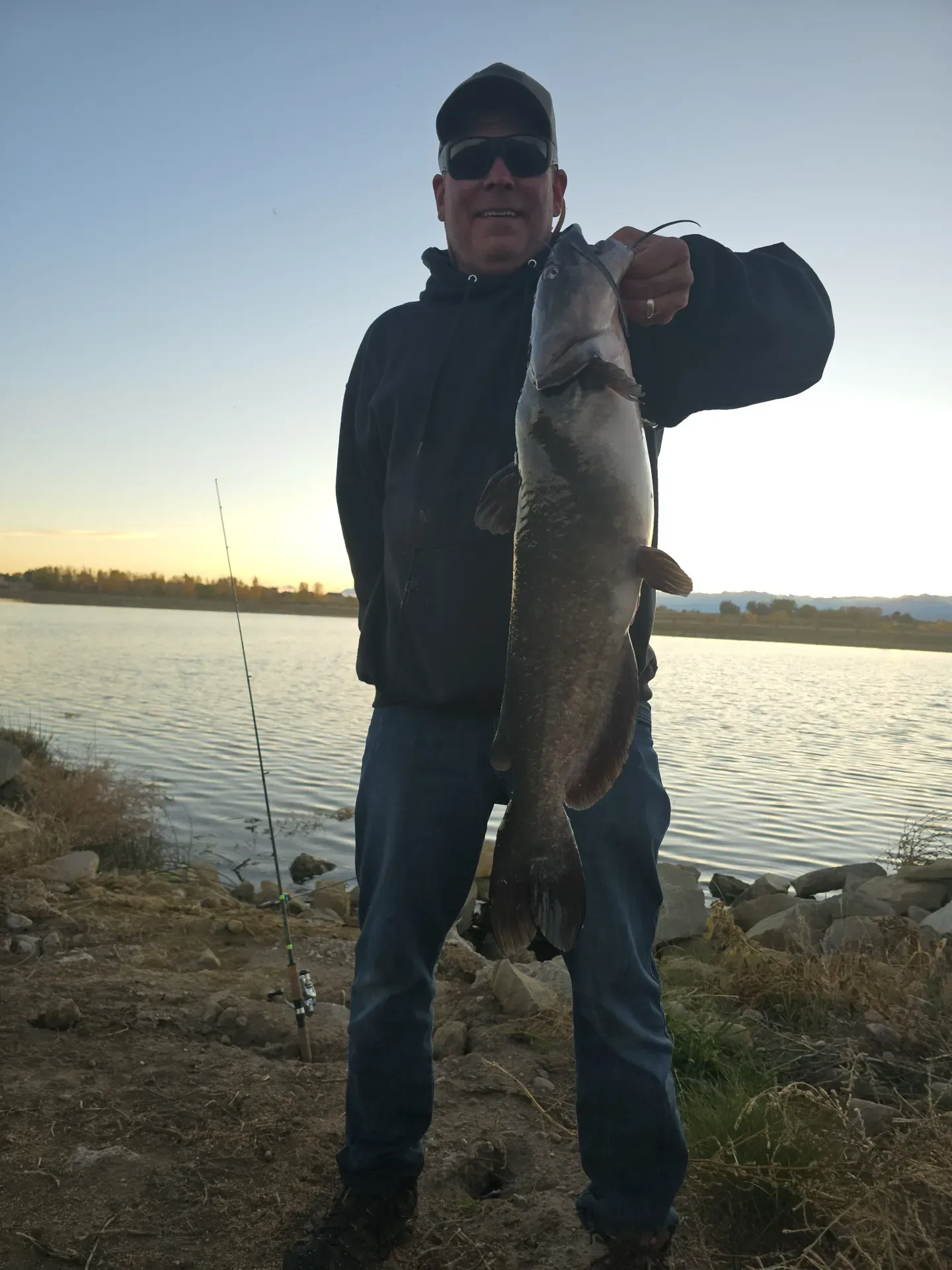 catfish