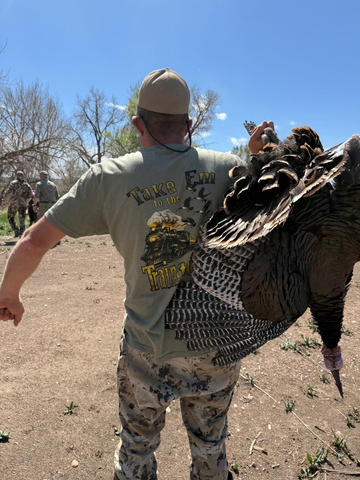 turkey to hunt in CO