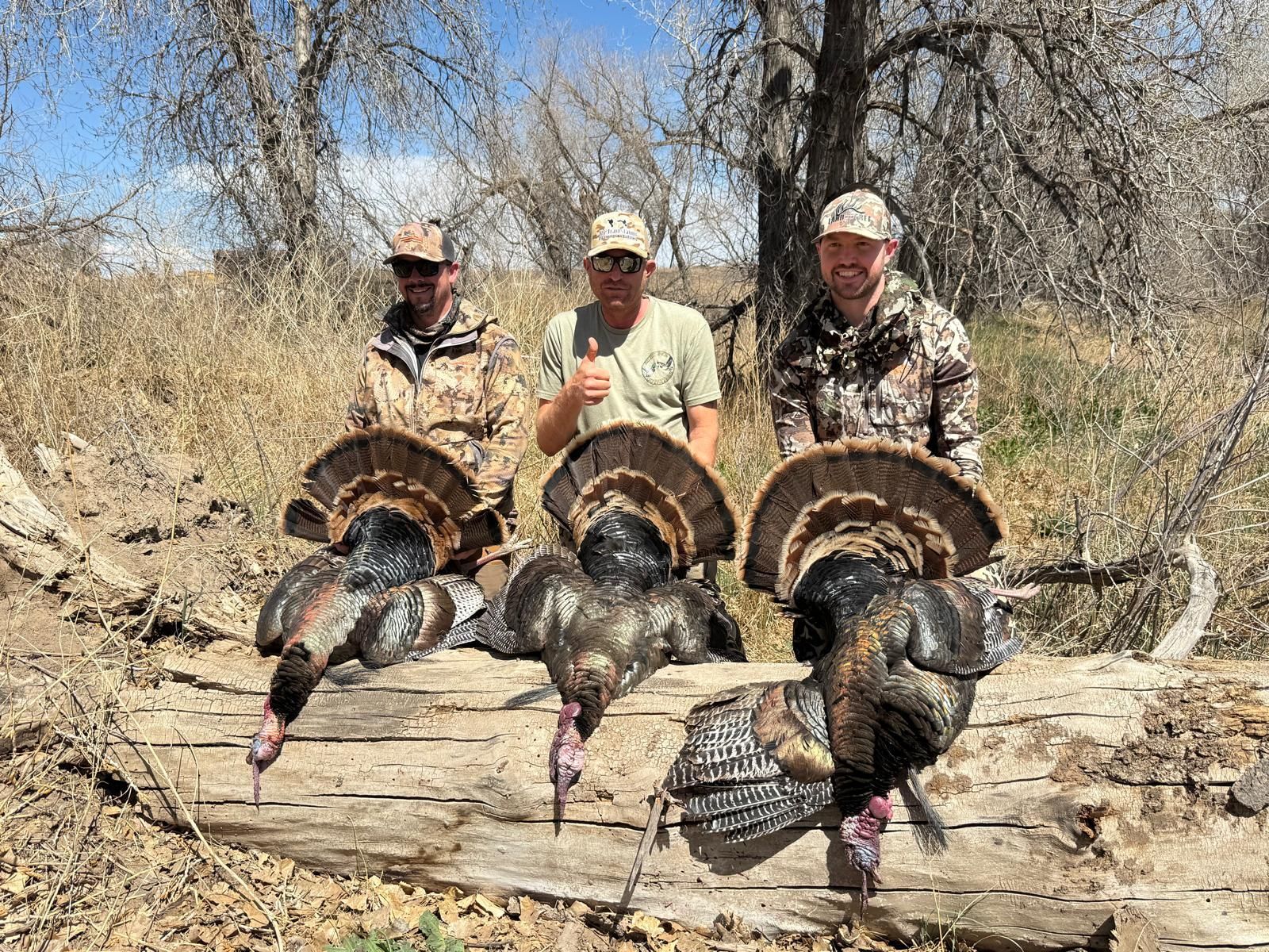 Deluxe Guided Turkey Hunts in Colorado with Lodging Included
