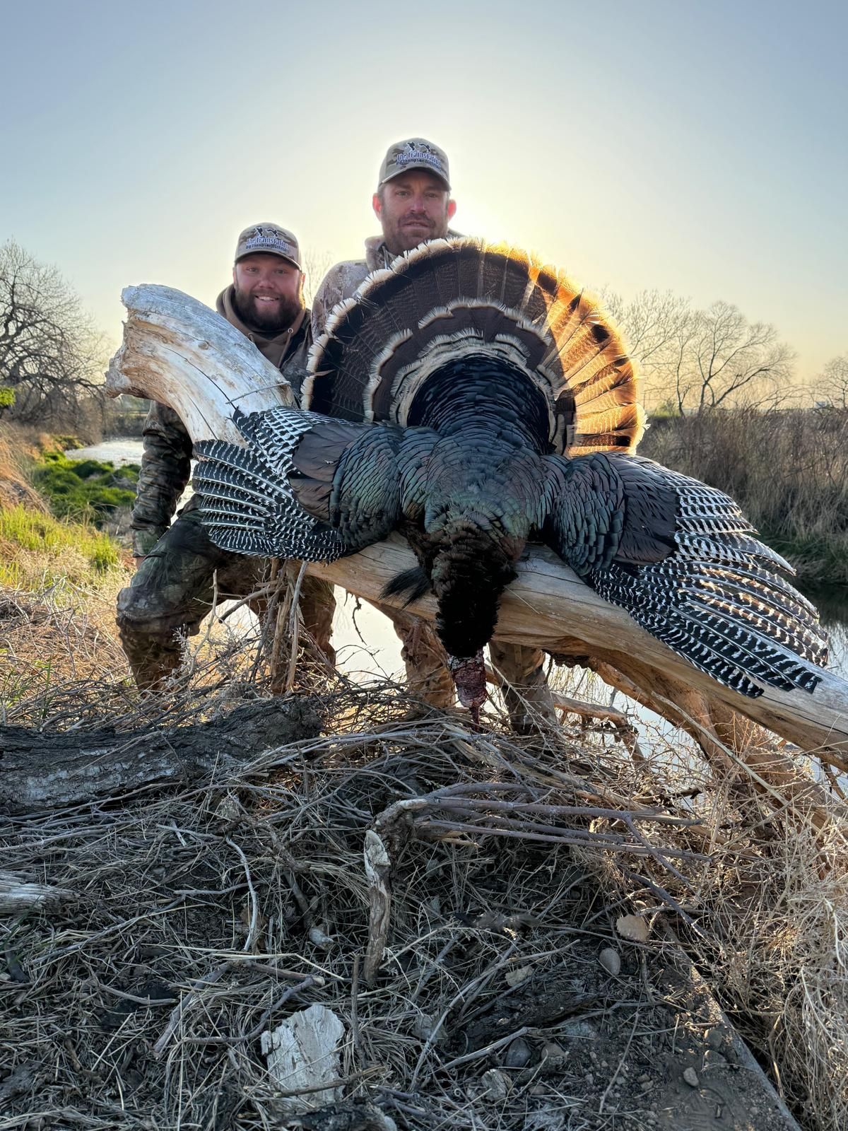 guided turkey hunting