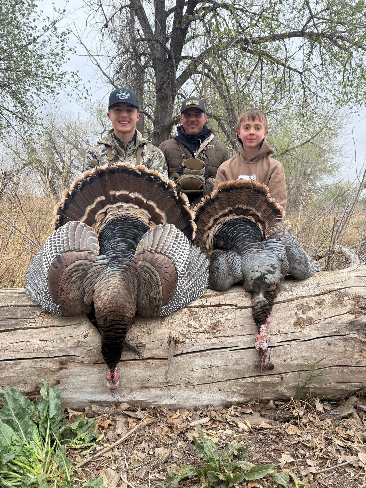 turkey guide CO