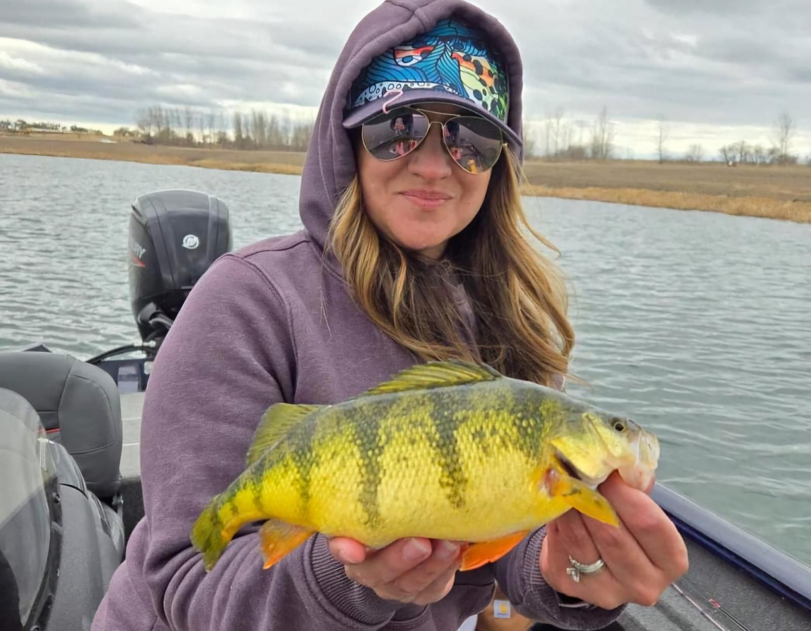 yellow perch fishing