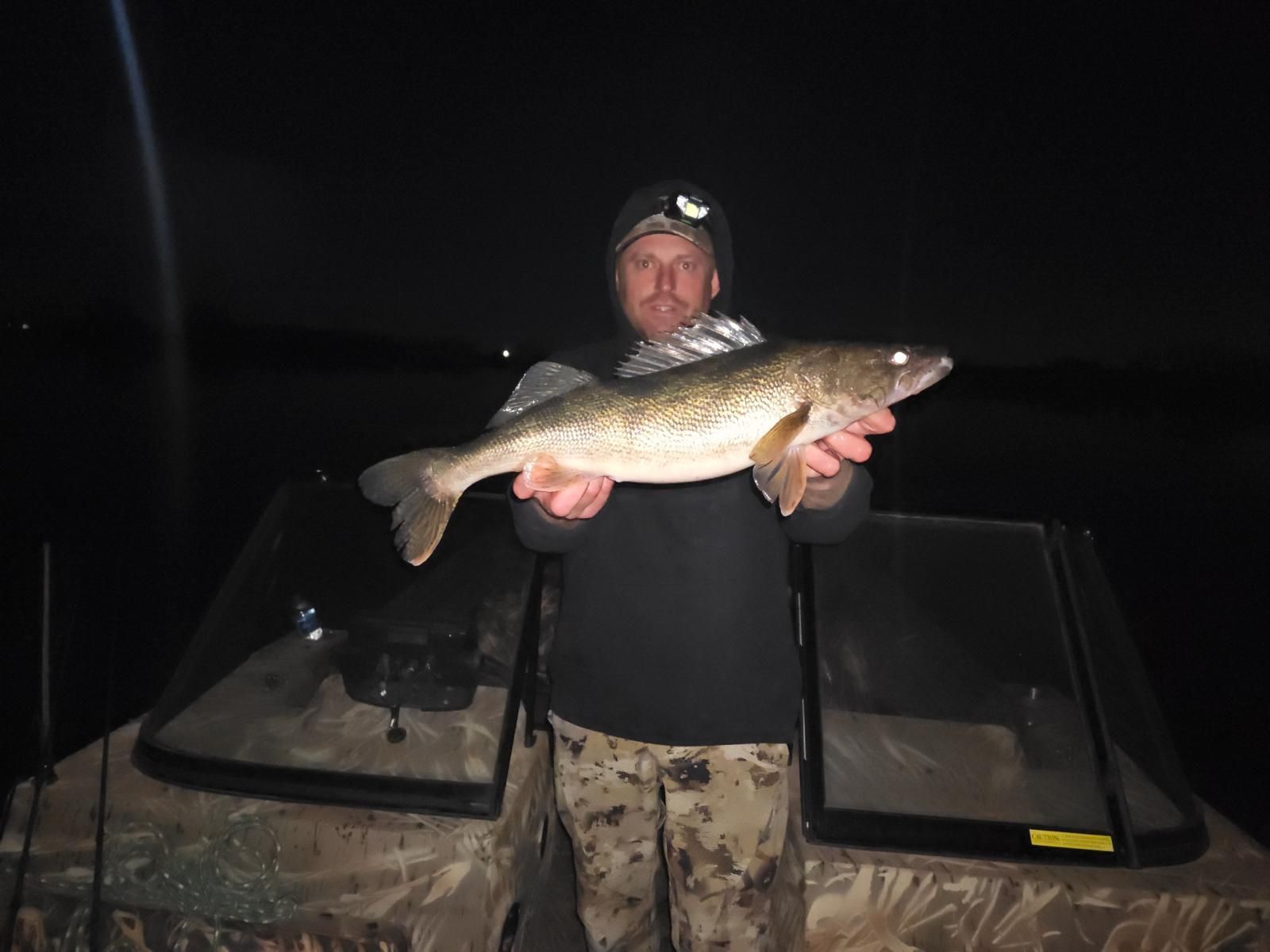 big walleye
