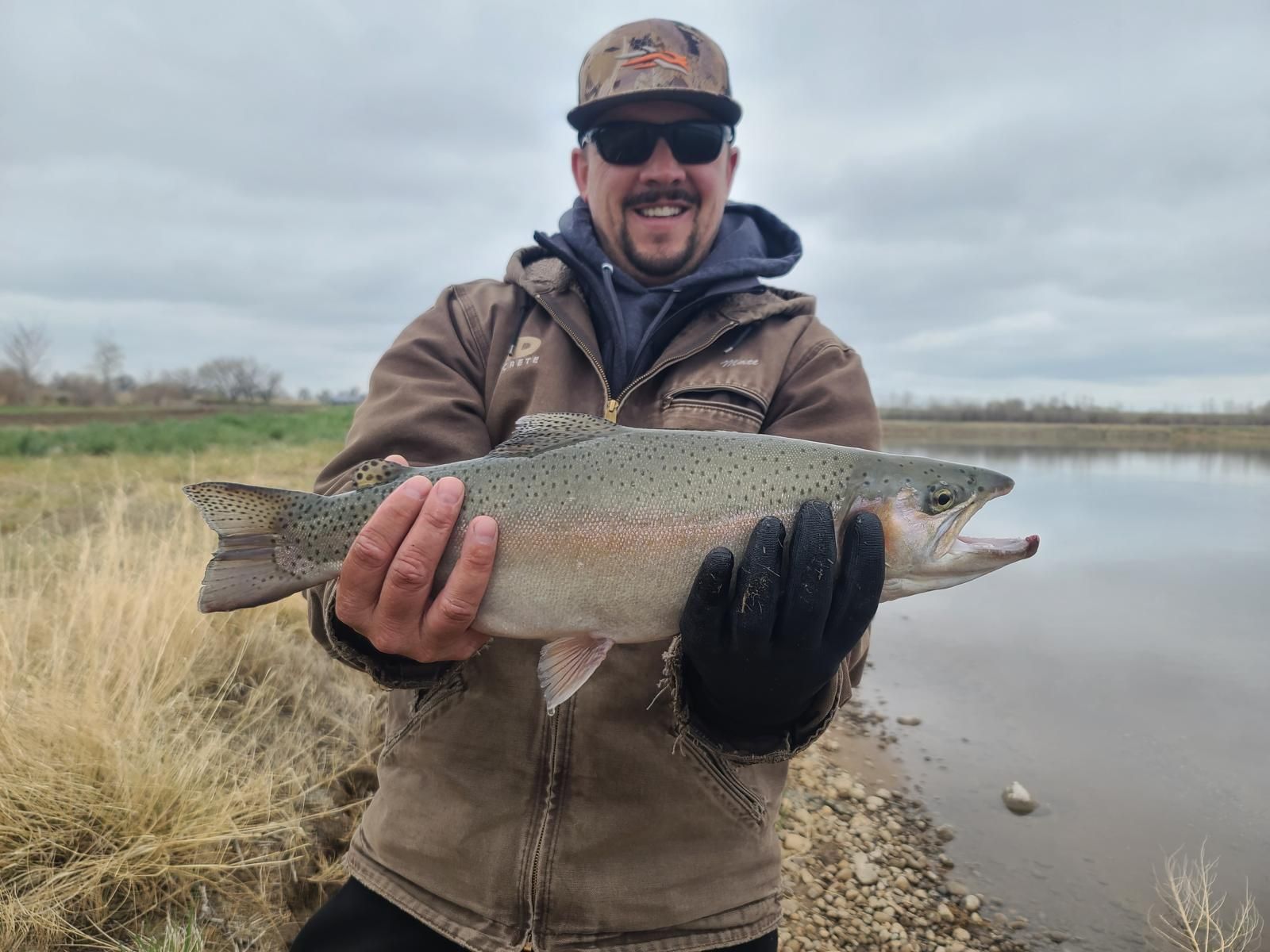 Trout