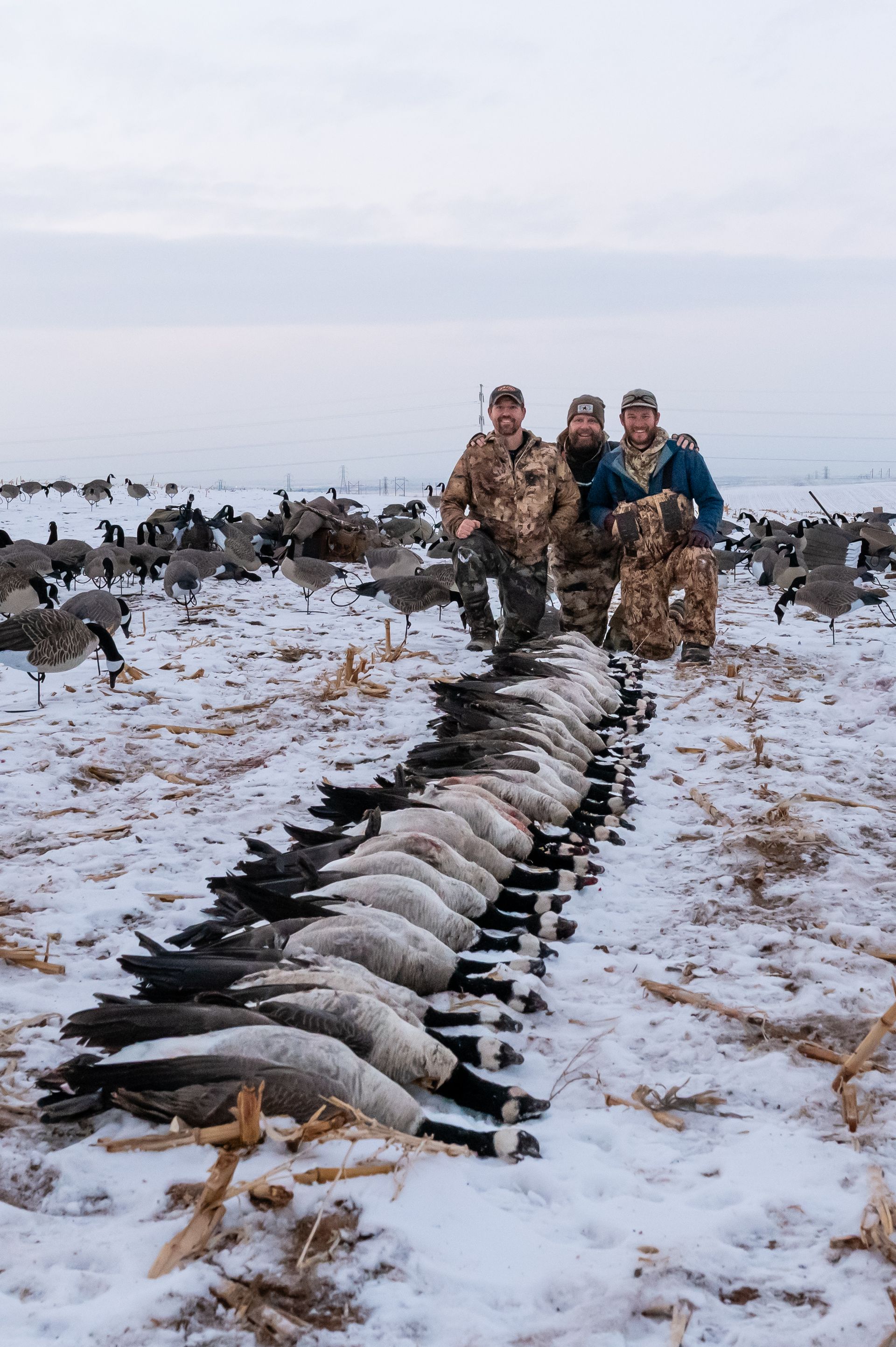 Guided Waterfowl Hunts in Colorado