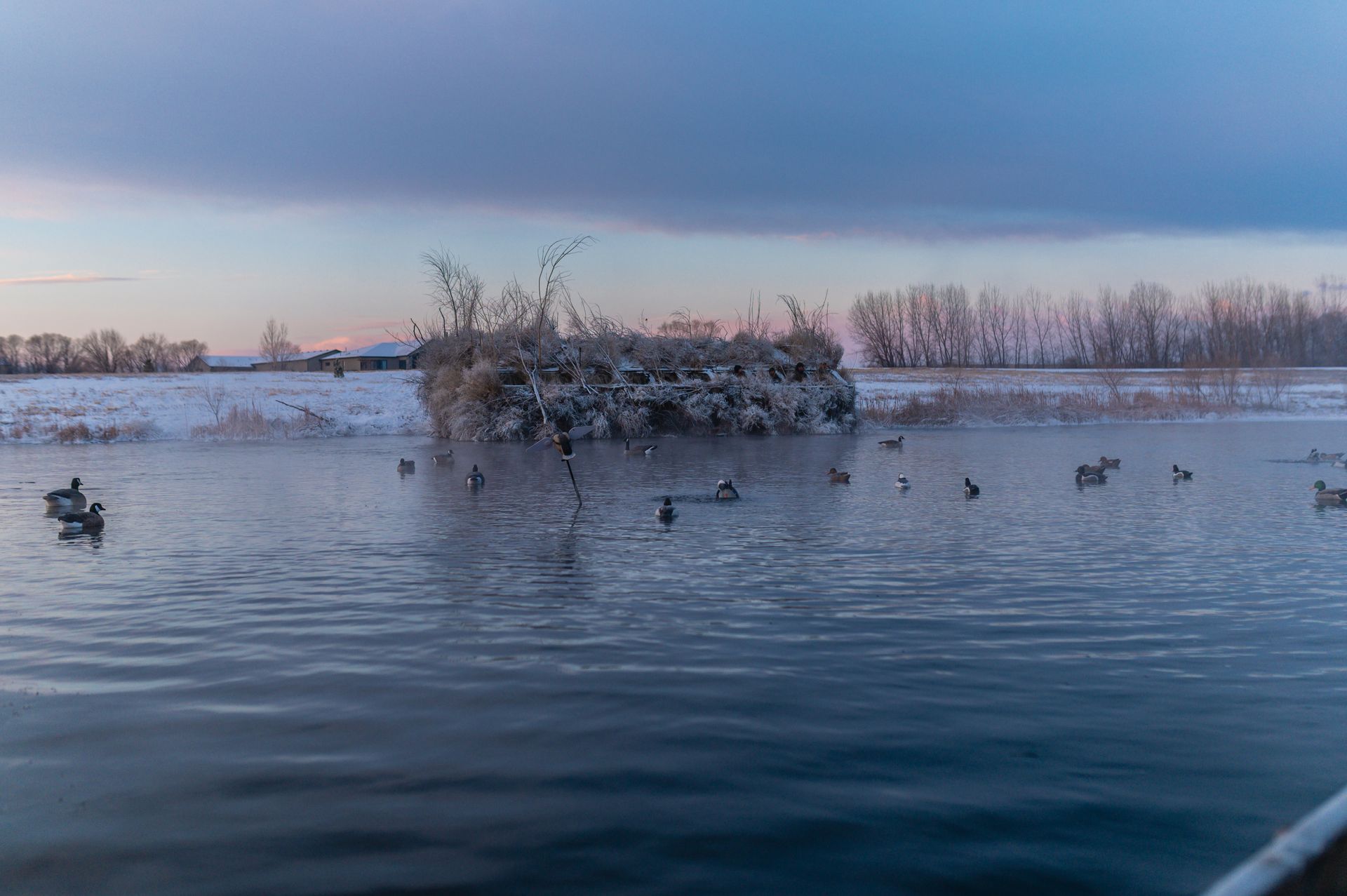 Luxury Duck Hunting Blind with Guide