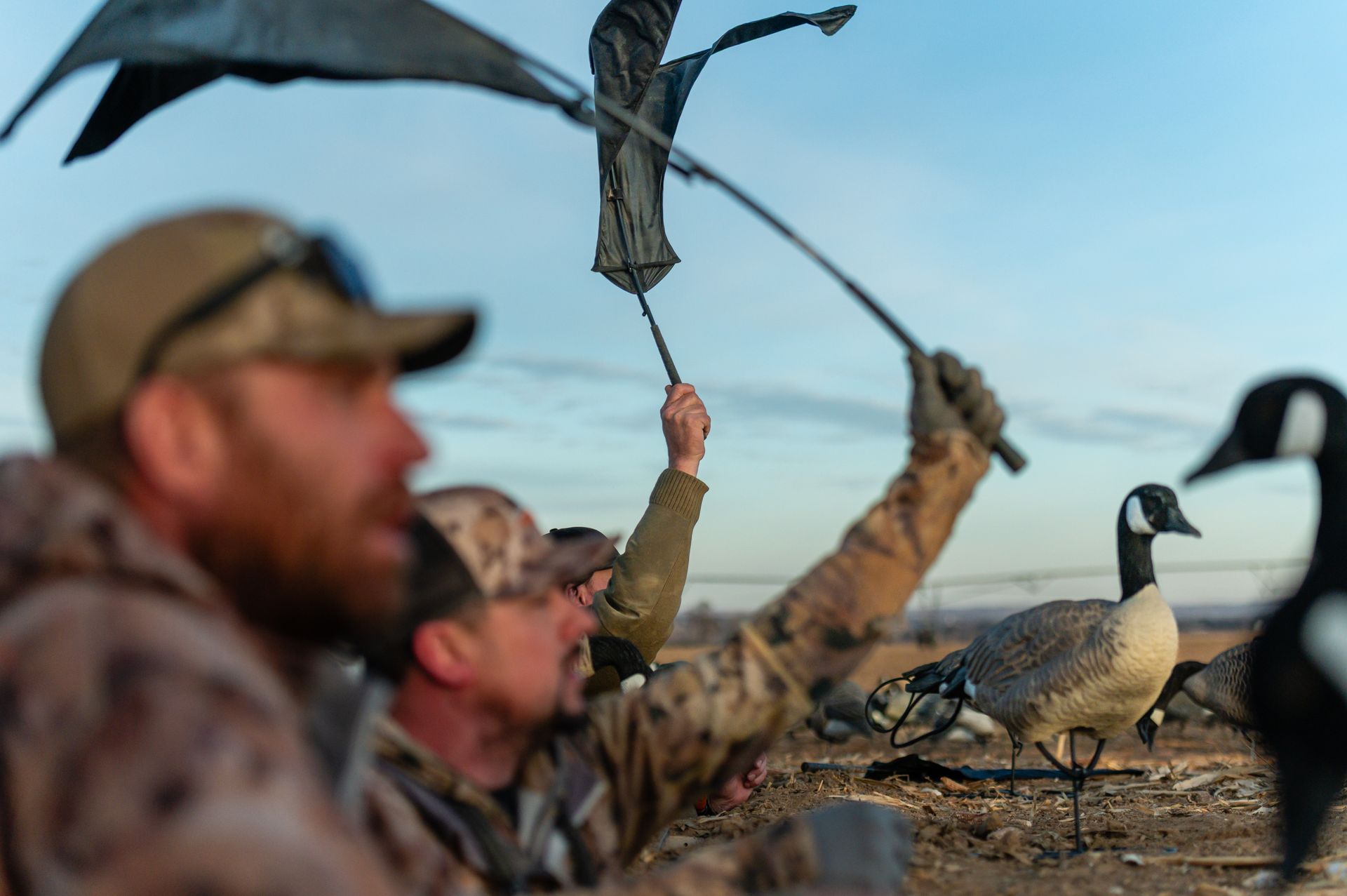 Hunt geese in custom pits with cooked breakfast in the blind