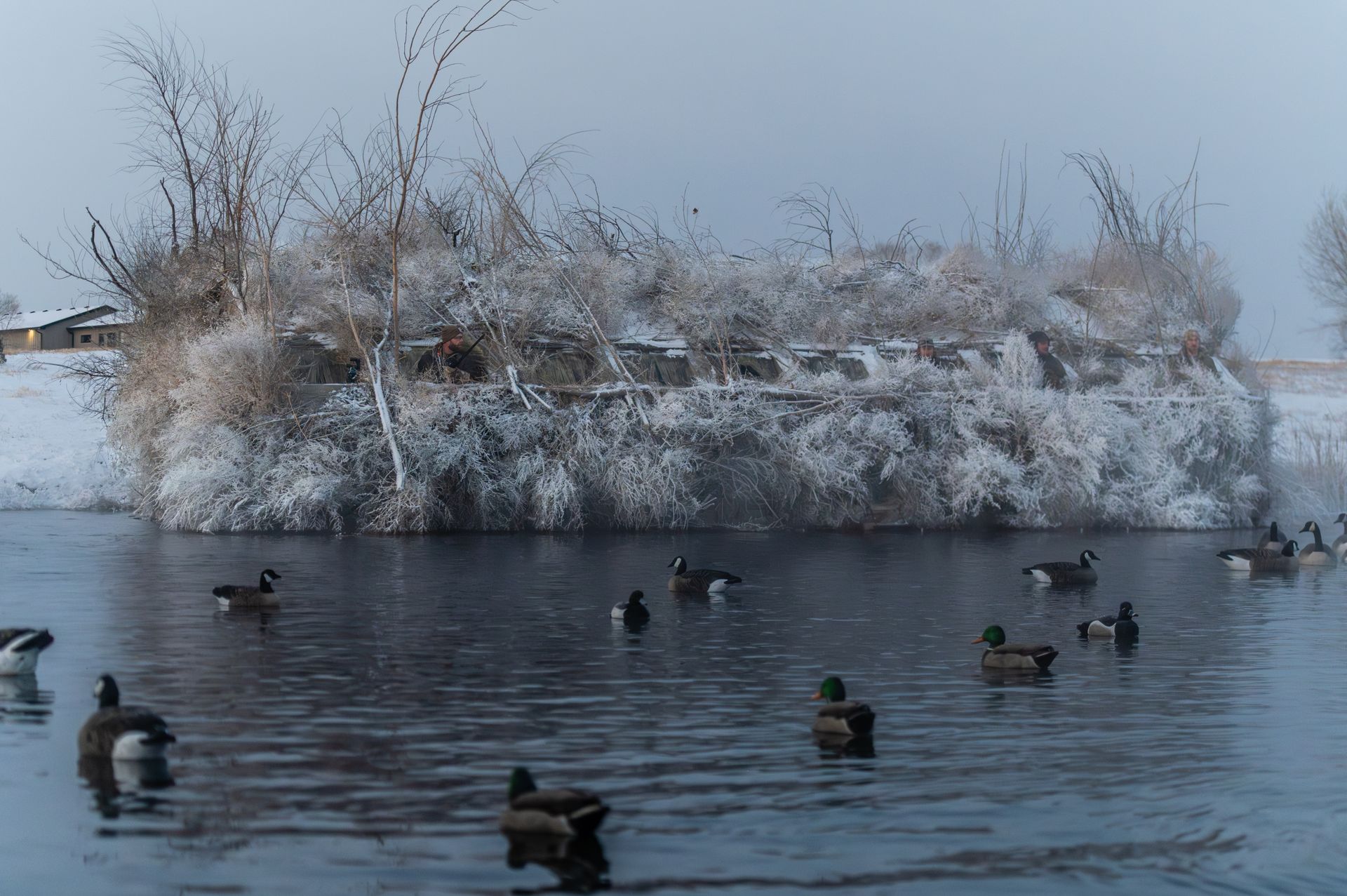 Deluxe Waterfowl Outfitters with Lodge