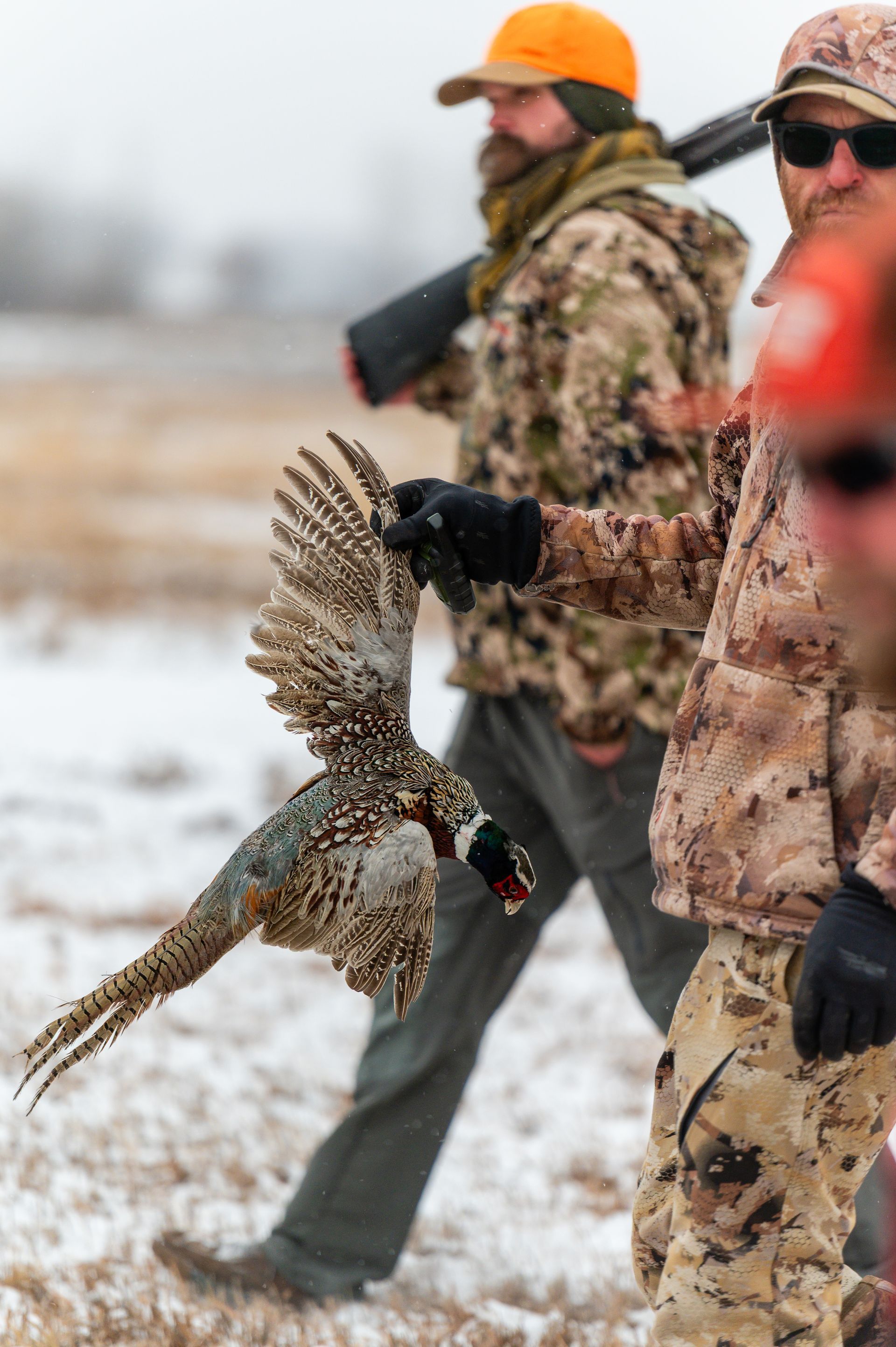 Guided pheasant hunting included with hunt package