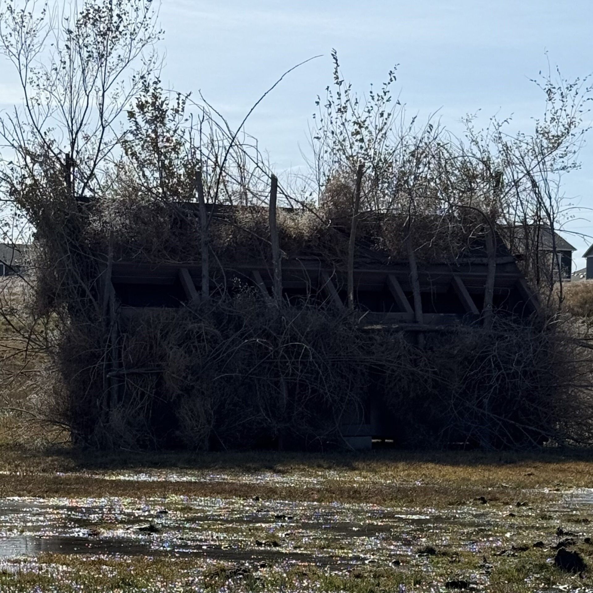 hunting blinds