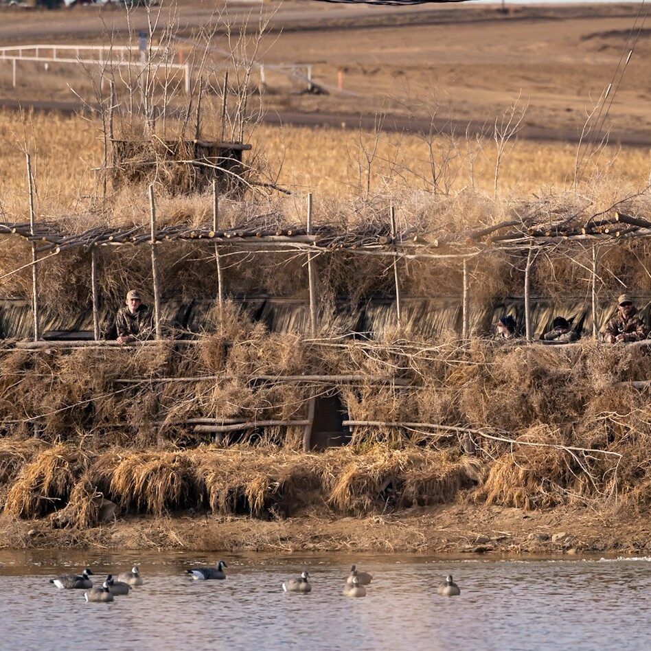 best guide and outfitter in Colorado