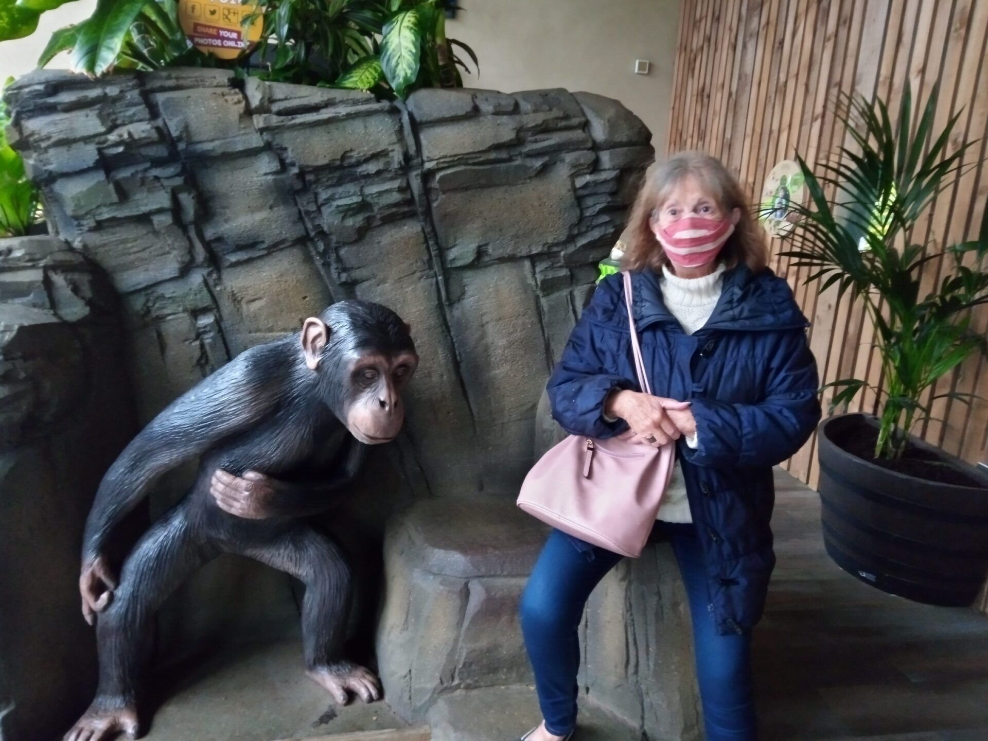 monkey and lady