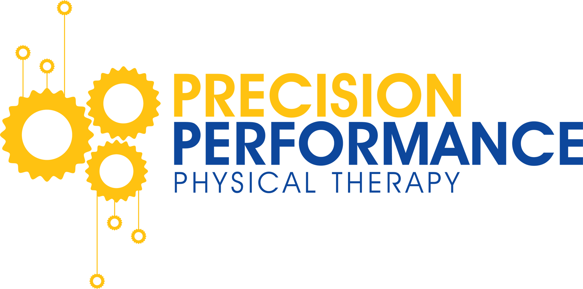 precision performance physical therapy logo