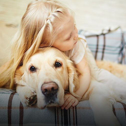 Child hugging senior dog after microchipping at Central Monmouth Animal Hospital near Marlboro NJ