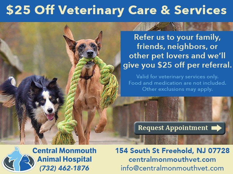 $25 referral discount banner for veterinary services at Central Monmouth Animal Hospital in Freehold