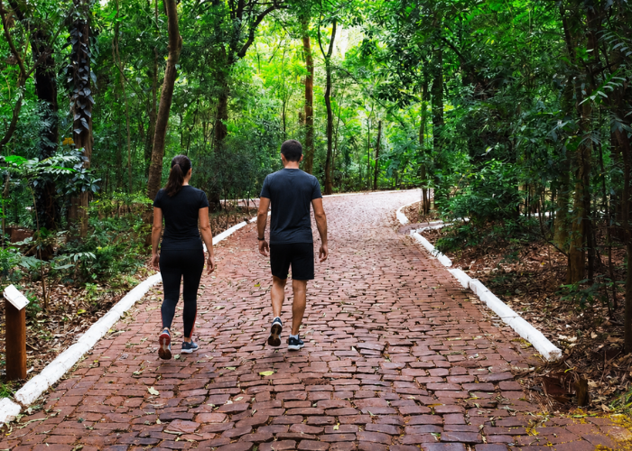 Pessoas caminhando pela manhã entre as árvores e áreas verdes do Parque do Ingá, em Maringá.
