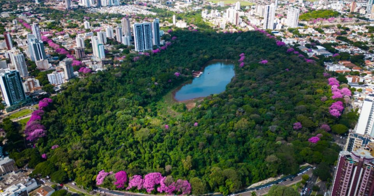 Vista aérea de Maringá com destaque para pontos turísticos da cidade no inverno