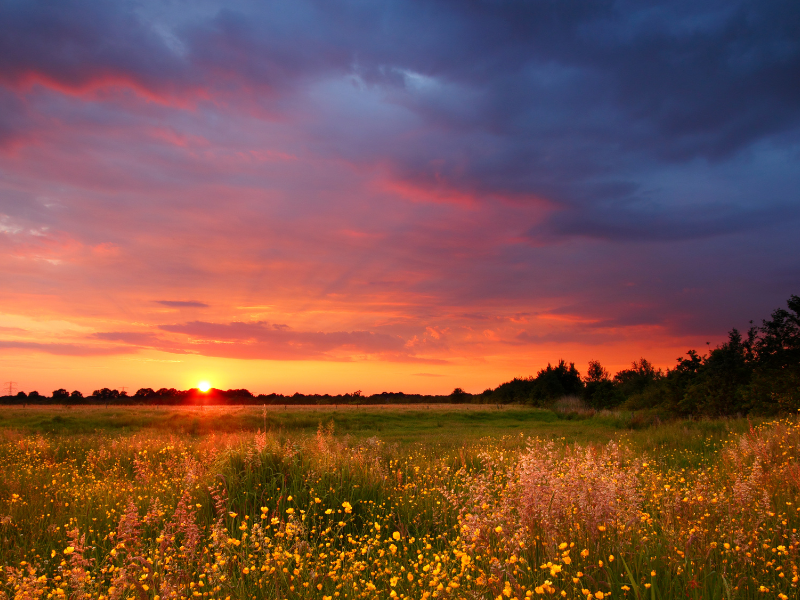 por-do-sol