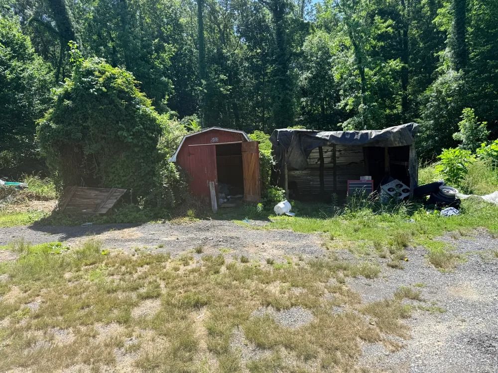 Two small sheds in a grassy clearing beside a dense green forest