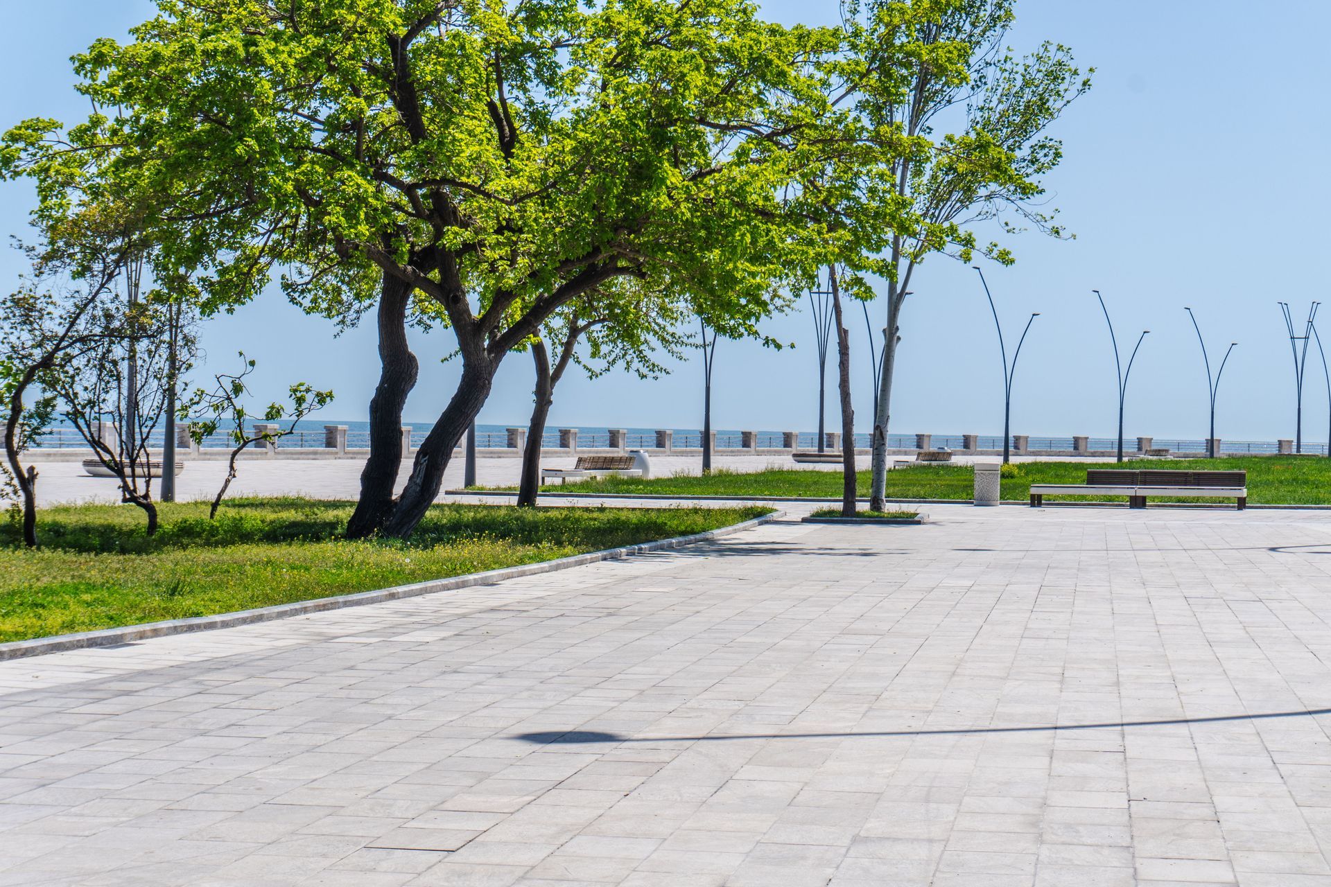 Sunny waterfront park with paved walkway, green trees, and benches under a clear blue sky
