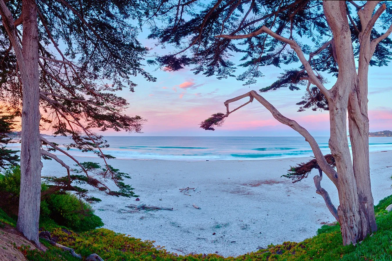 Sunrise over a sandy beach framed by trees, with pink and blue sky and calm water