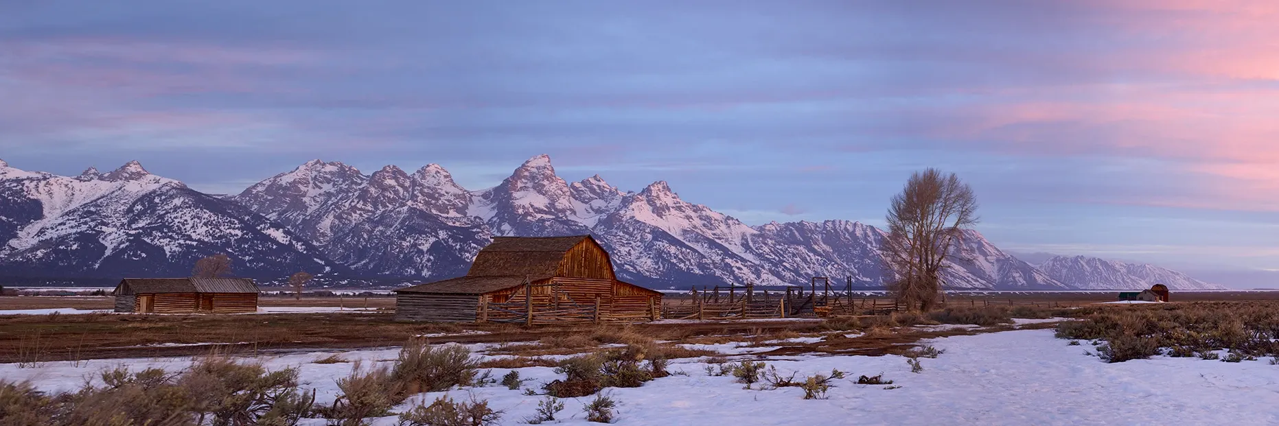 Snowy mountain range behind a rustic cabin and bare tree in a winter field at dusk