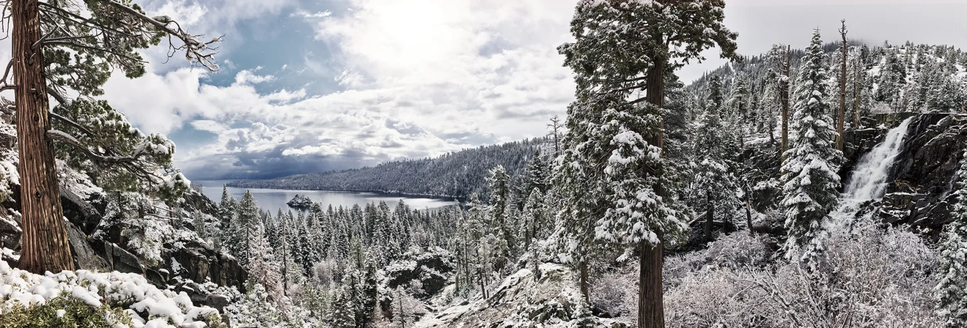 Snow-covered pine forest with mountains under cloudy sky