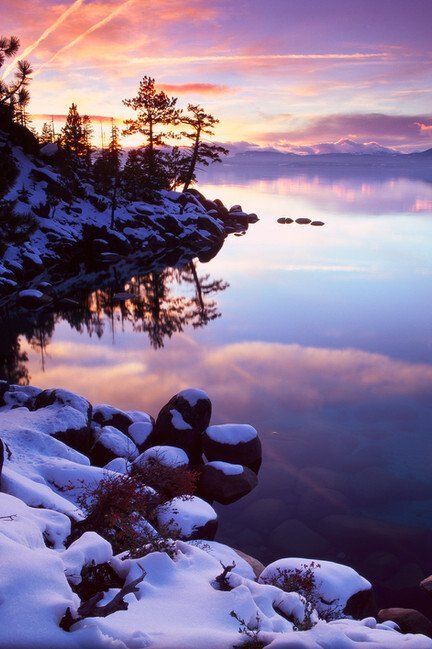 Snowy lakeshore at sunrise with pine trees, pink clouds, and calm water reflecting the sky