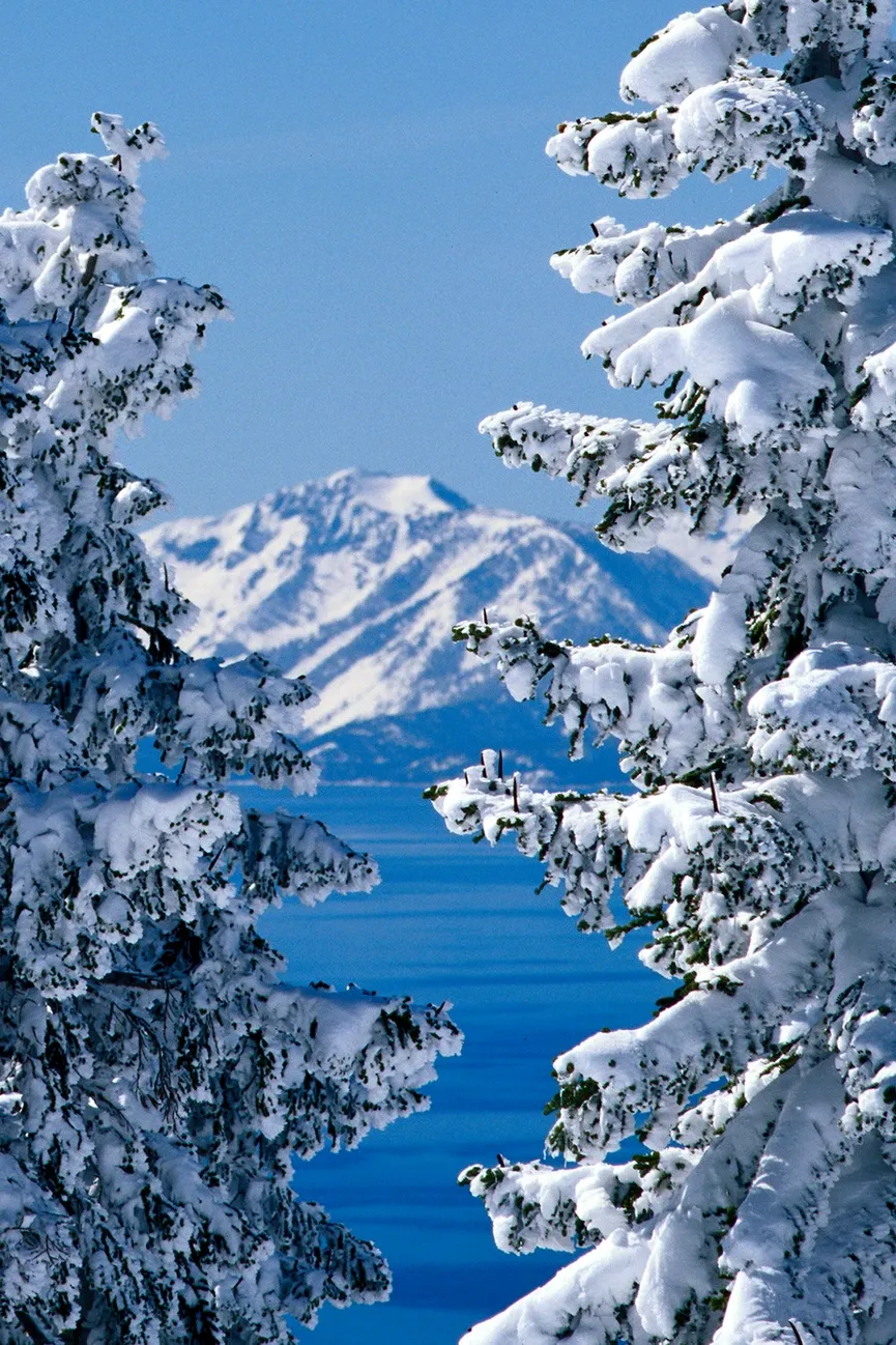 Snow-laden evergreens frame a blue mountain lake beneath snowy peaks and a clear sky.