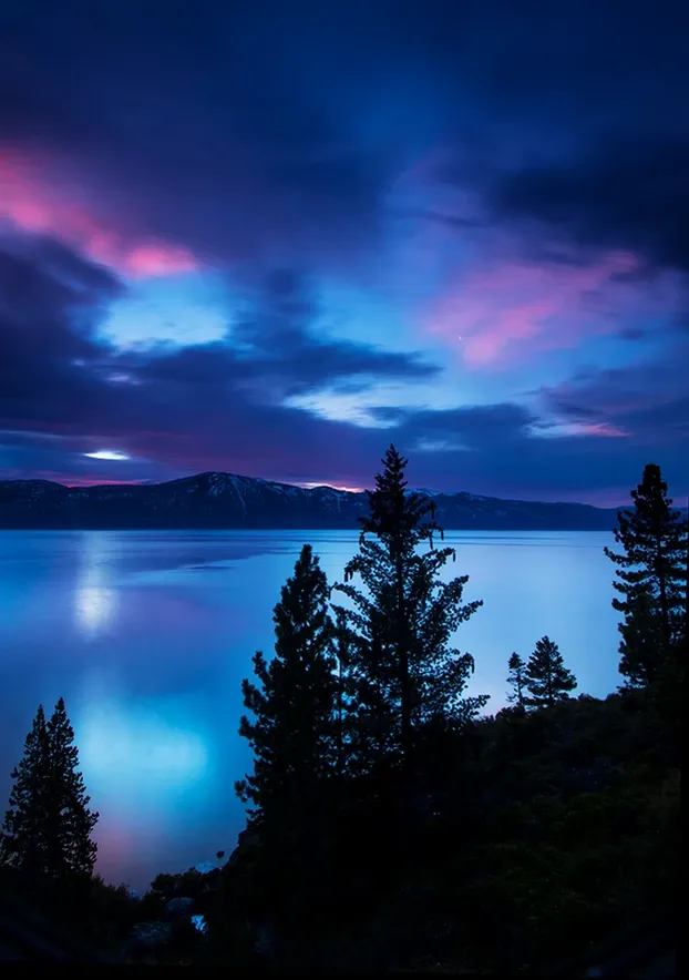 Blue twilight lake with silhouetted pine trees and pink clouds reflected in calm water