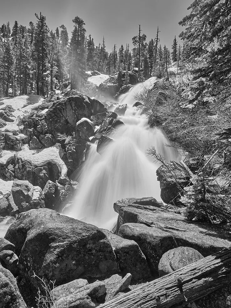 Black-and-white waterfall cascading through a snowy forest with rocks and pine trees