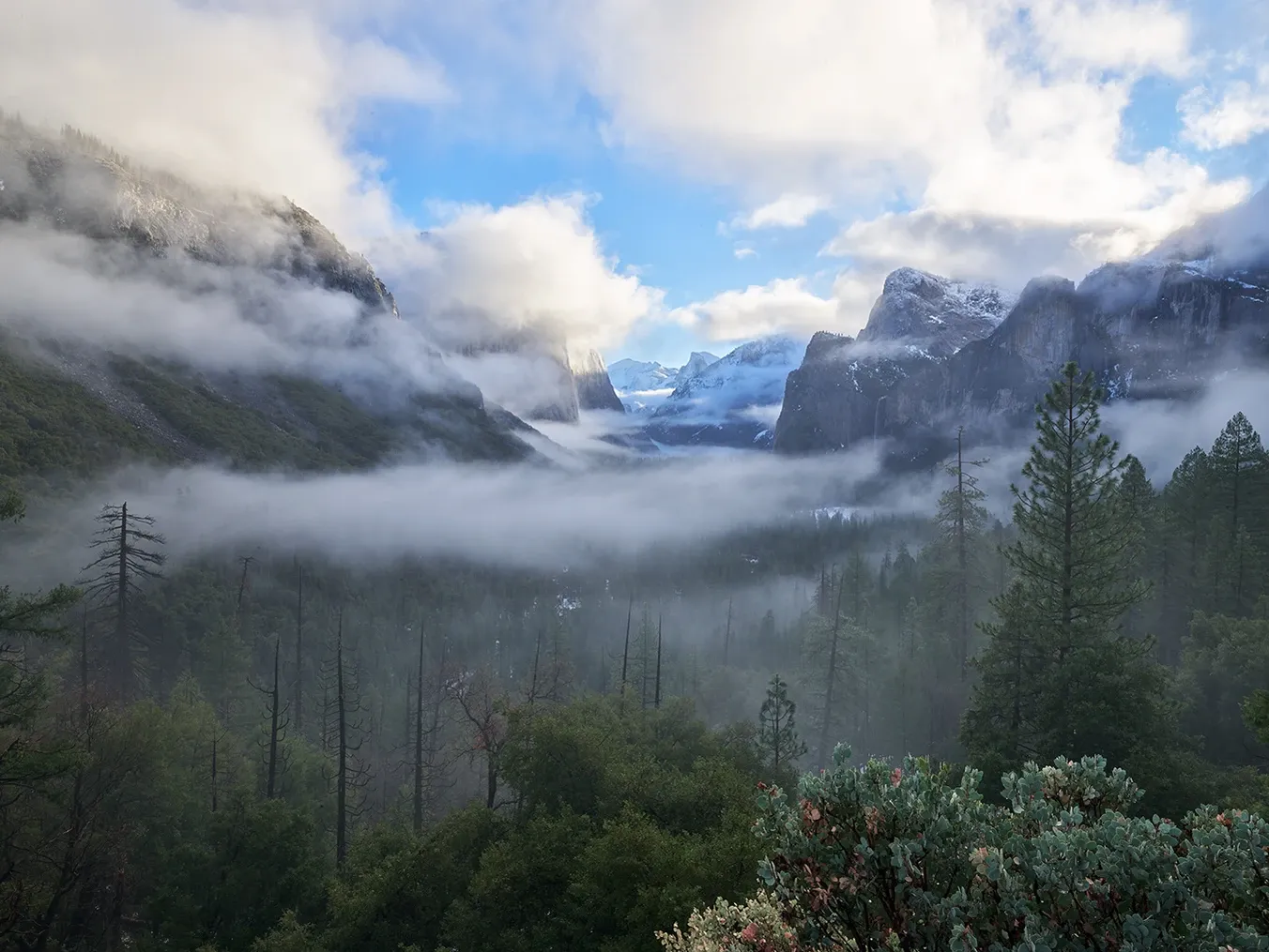 Foggy mountain valley with pine trees, rocky peaks, and blue sky through clouds