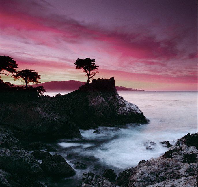 Pink sunset over a rocky coastal bluff with silhouetted trees and misty ocean waves