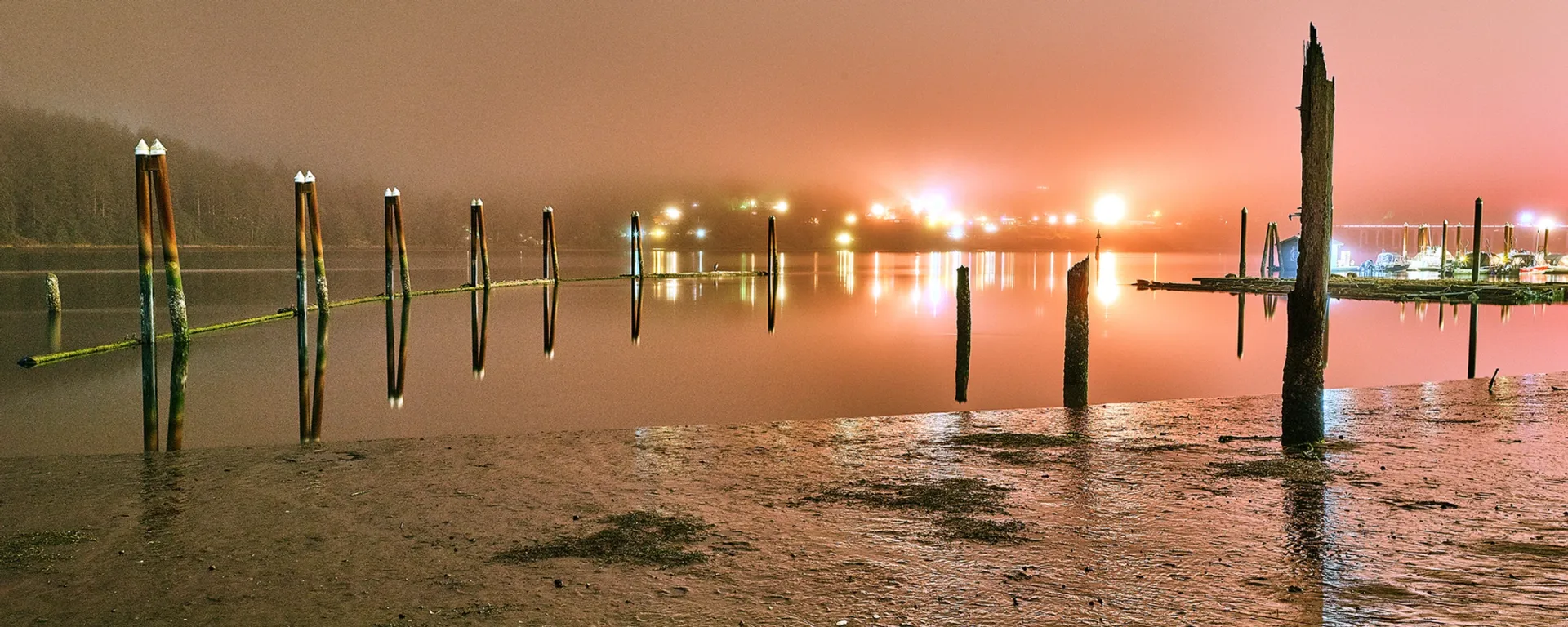 Flooded shoreline at dusk with silhouetted posts and shimmering city lights reflected on water