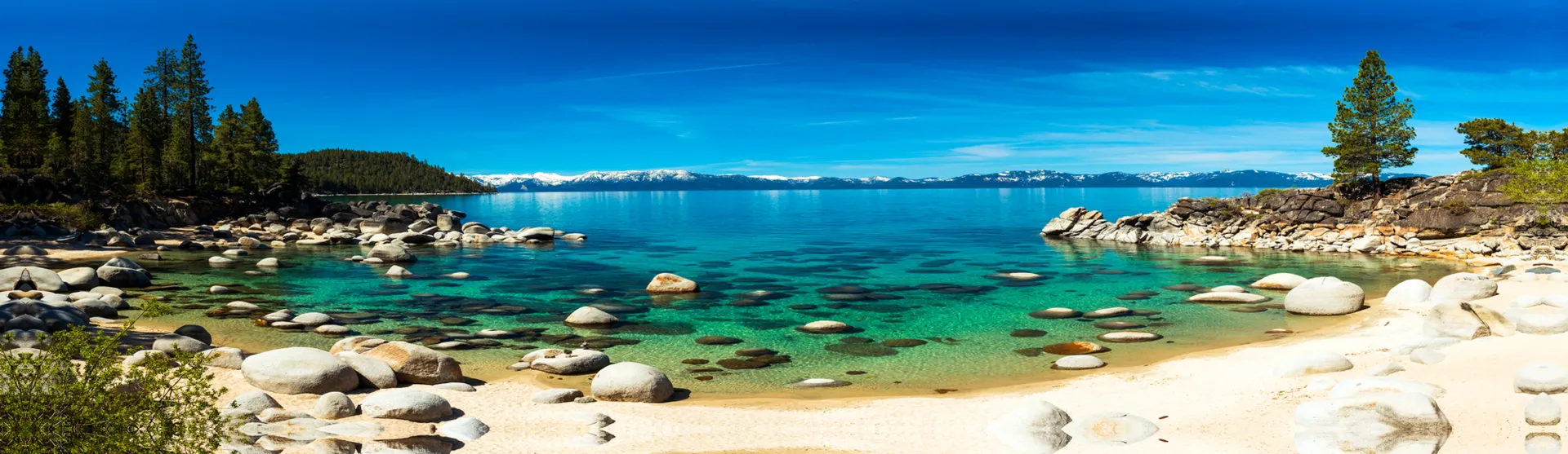 Tropical beach with turquoise water, sandy shore, rocks, and pine trees under a clear blue sky