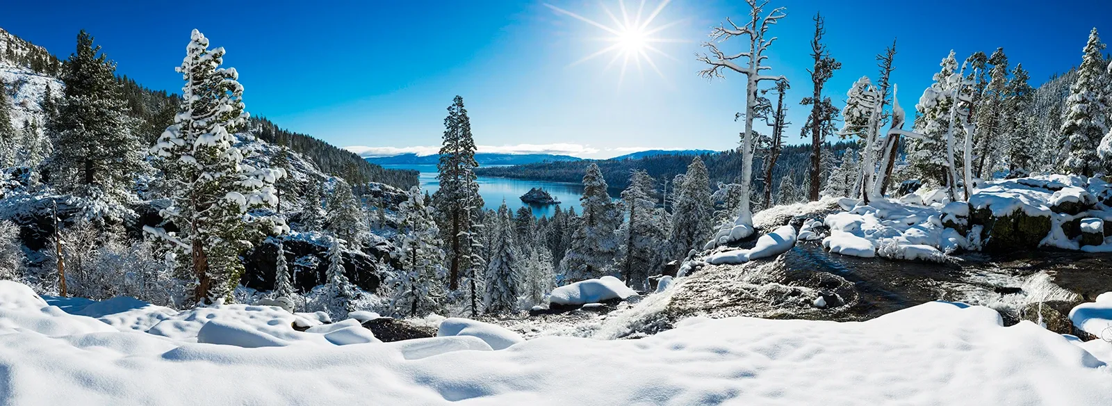Snowy mountain landscape with pine trees, clear blue sky, and bright sun reflecting on the snow