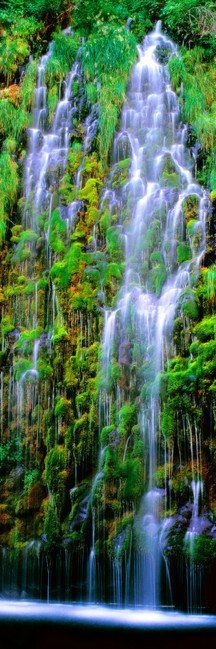 Lush green waterfall cascading over mossy rocks into a dark pool
