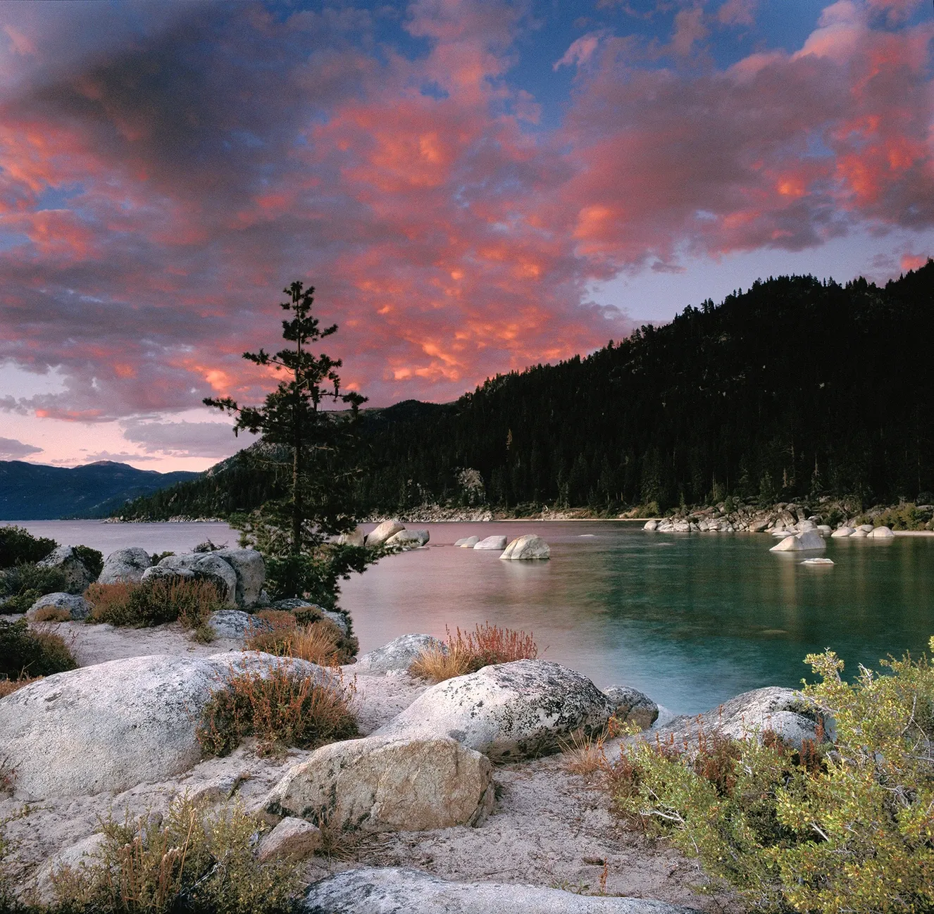 Rocky lakeshore at sunset with pink clouds, calm water, and pine-covered hills in the distance