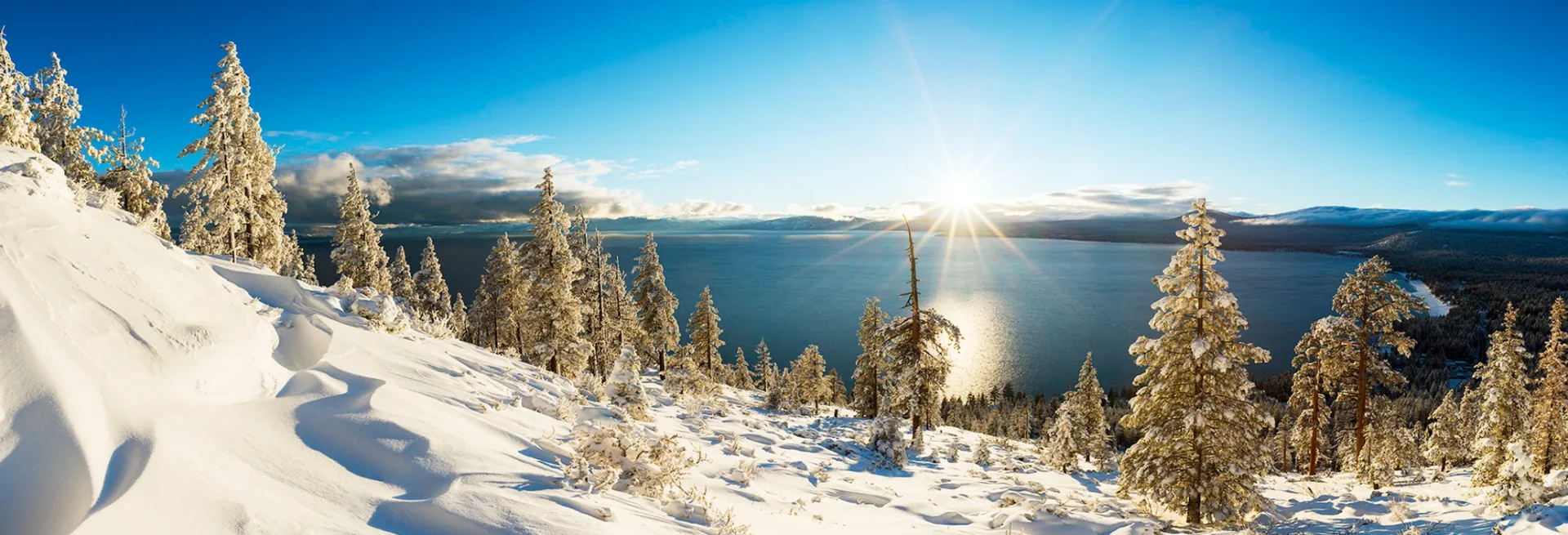 Snowy pine forest overlooking a blue lake under a clear winter sky