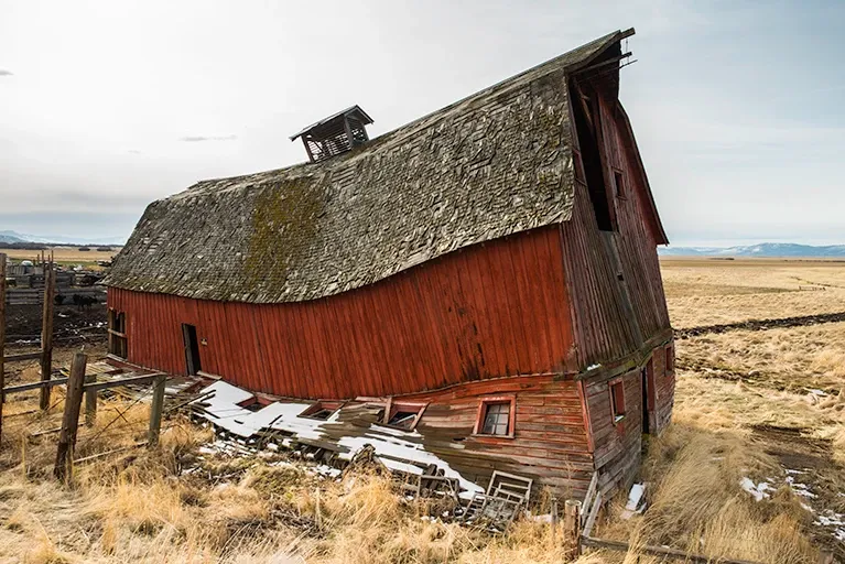 Lean red barn with a sagging thatched roof in a dry field under an overcast sky