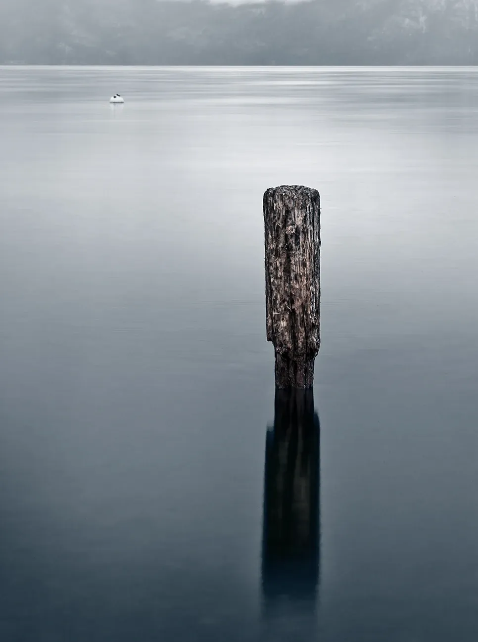 Solitary weathered wooden post rising from calm gray water in a misty lakescape
