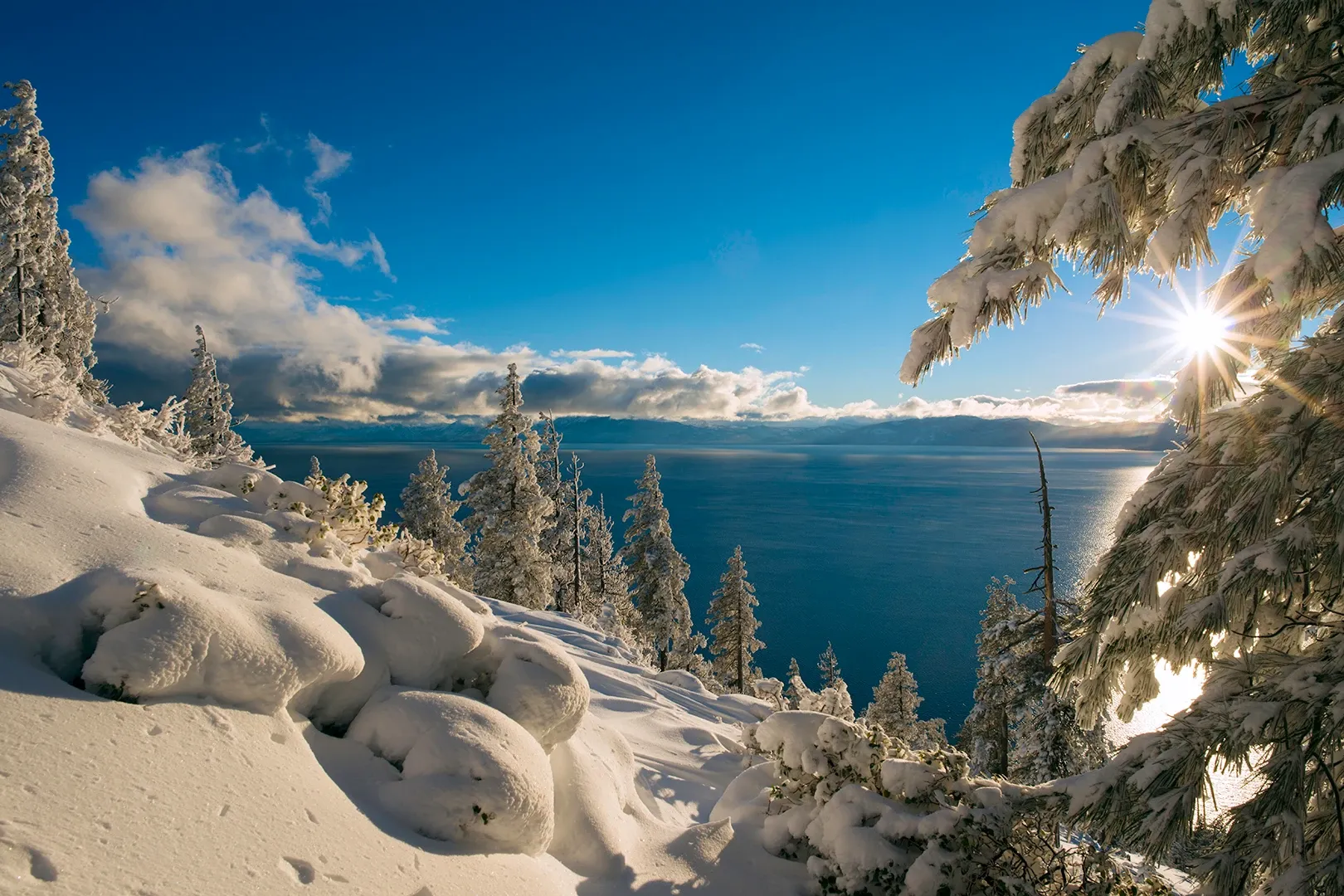 Snowy forest overlooking a bright blue lake under a sunny winter sky