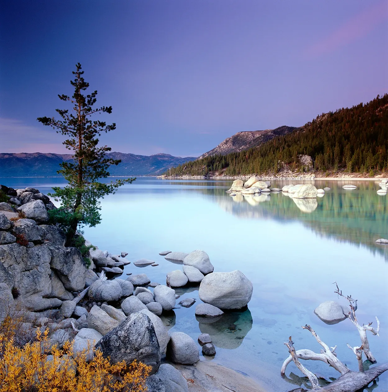 Rocky lakeshore with a lone pine tree, calm turquoise water, and mountains under a purple dusk sky