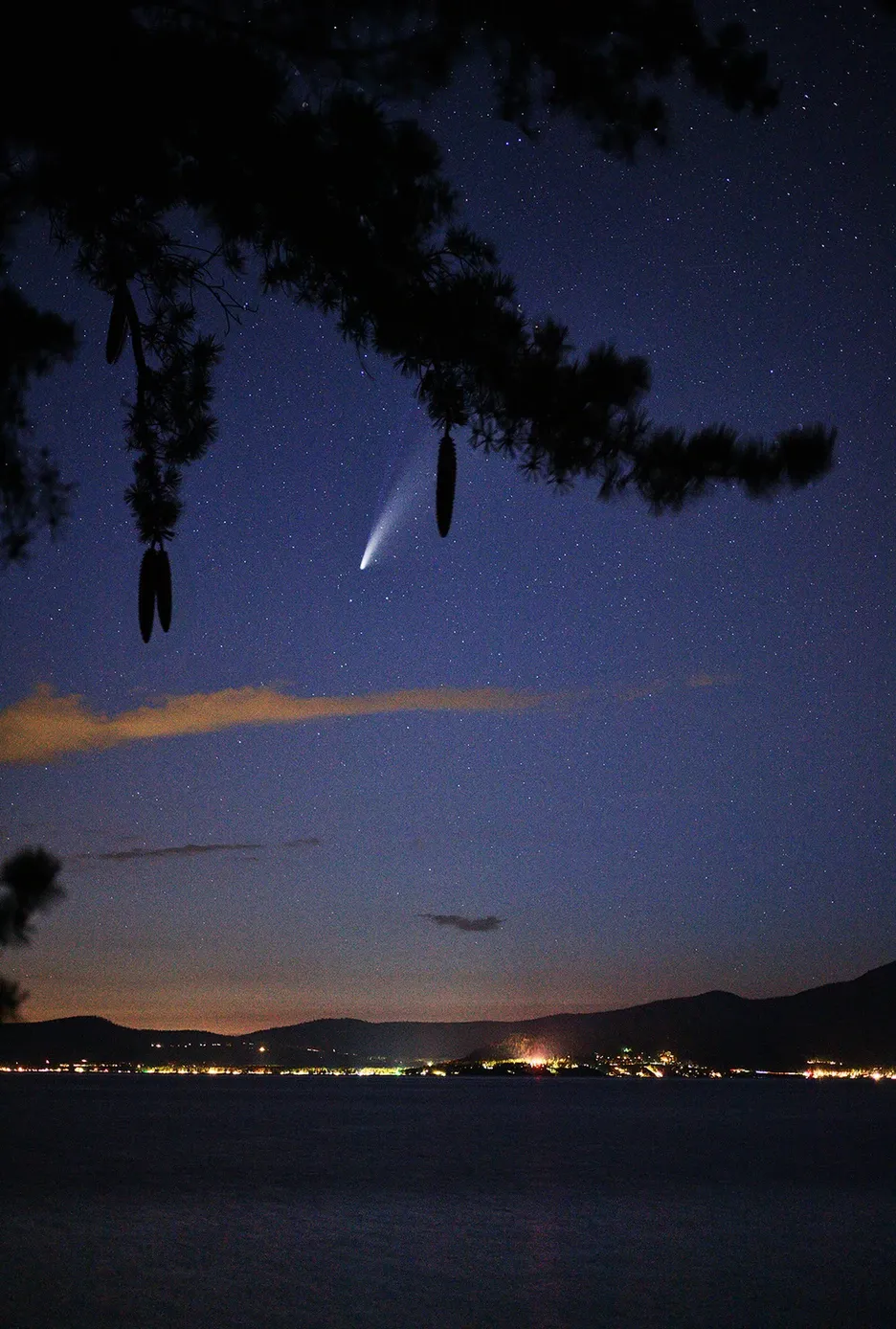 Night sky with a bright comet over a calm lake, framed by silhouetted branches and distant lights.