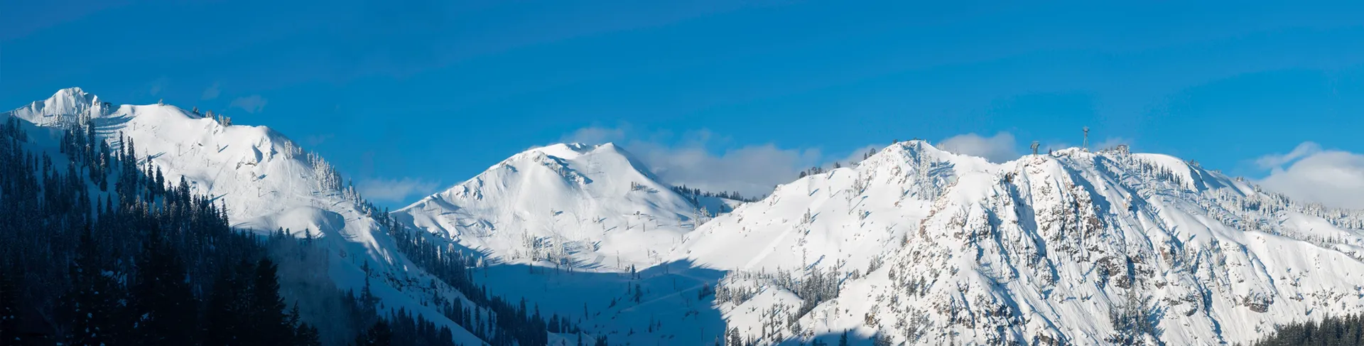 Snow-covered mountain range with dark blue forested slopes under a clear sky